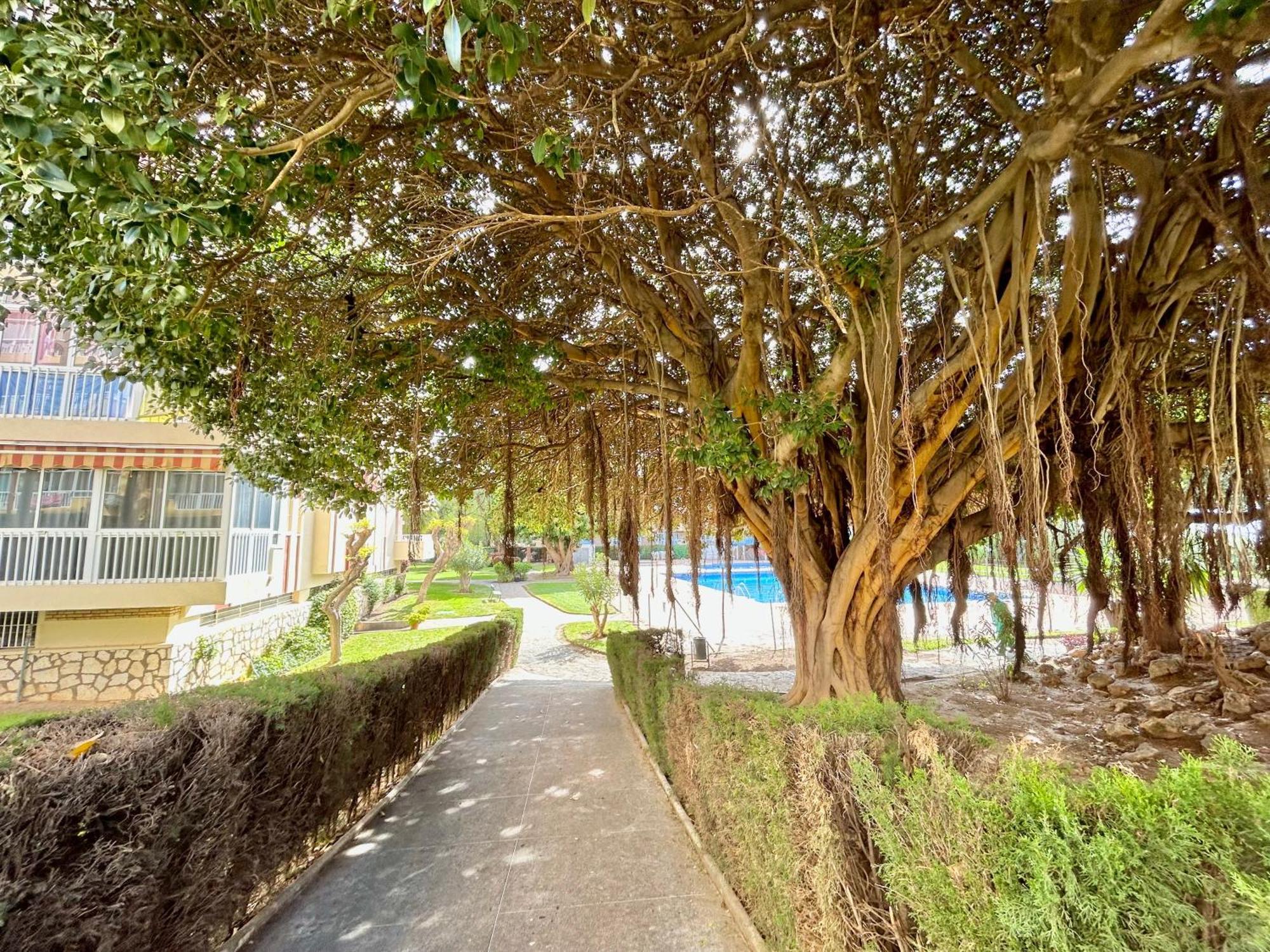 Ferienwohnung Hoja De Palma Benalmádena Exterior foto